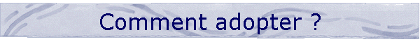 Comment adopter ?